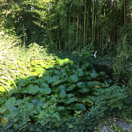 Queen Bed & Breakfast 3*